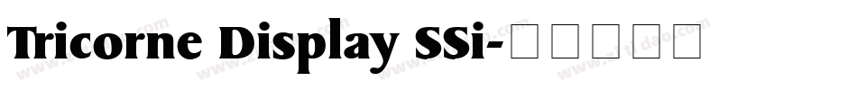 Tricorne Display SSi字体转换
